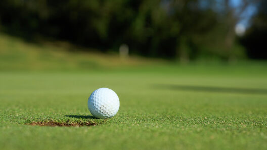 Angels of Action is hosting a golf outing July 24 at Spring Valley in Hersey to benefit the Gift for Kids Christmas program.