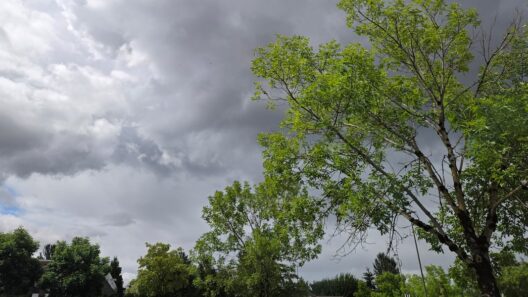 Man survives being struck by lightning while golfing