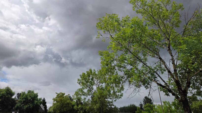 Man survives being struck by lightning while golfing