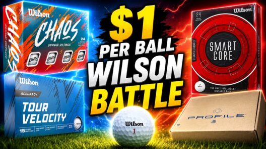 Wilson Chaos Vs Smart-Core Vs Tour Velocity Vs Profile Golf Ball Reviews | Battle of the Buck