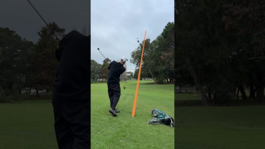 Day 5 of trying to break par using 5 vintage golf clubs #golf #winthedaygolf #vintagegolf