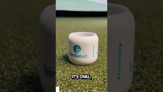 Most REALISTIC Practice Golf Ball in the World!