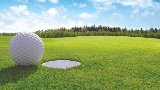 Operator found for Wellesley Island State Park Golf Course; will open Wednesday | Jefferson County News