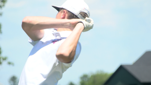 Division 3 teams, individuals advance to WIAA State Golf Meet | Sports