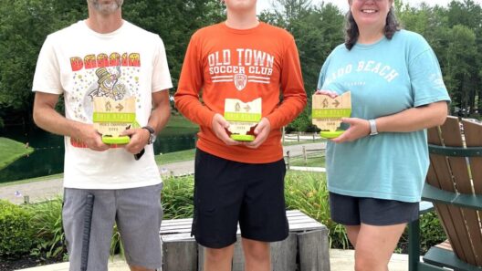 Park golf championship held in Logan | Sports