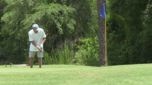 UF alums propose takeover of Gainesville-run Ironwood Golf Course: ‘It needs help’