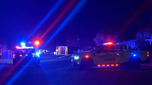 Heavy presence at home near Golf Links, Swan