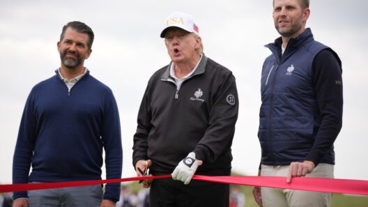 No free pass for Trump and his pals