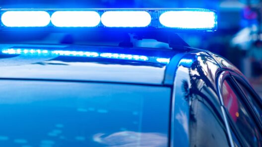 Lawrence woman arrested after foot pursuit ended at golf course