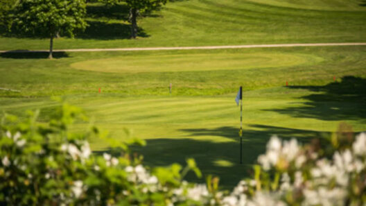 Golf Care expands UK partnerships with Scottish Golf and Affordable Golf
