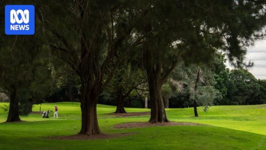 Moore Park Golf Course carve up makes way for new green space in inner Sydney