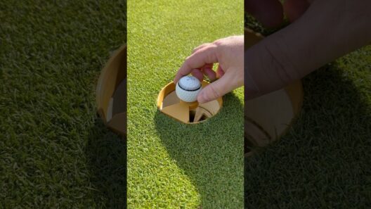 This BULLSEYE Hole Trainer is Damn Near IMPOSSIBLE #golf #golfgear #golfaddicts