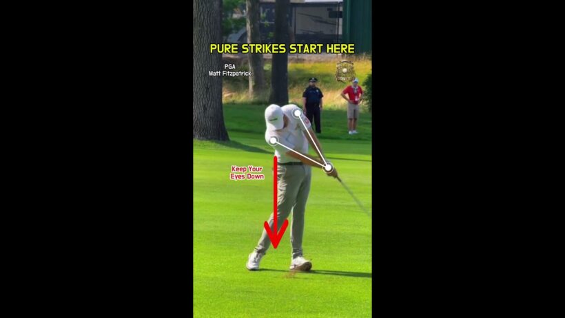 정타를 만드는 임팩트 존과 시선 고정 ⛳️  #golfswing  #golfer