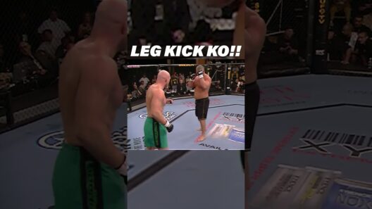 Nasty Leg Kick Knockout!! #mma #ufc