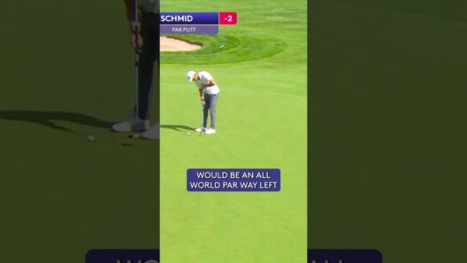 INCREDIBLE par save! 🔥