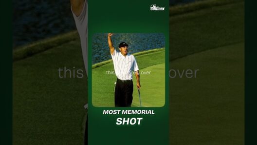 There are great shots... and then there are Tiger Woods shots.