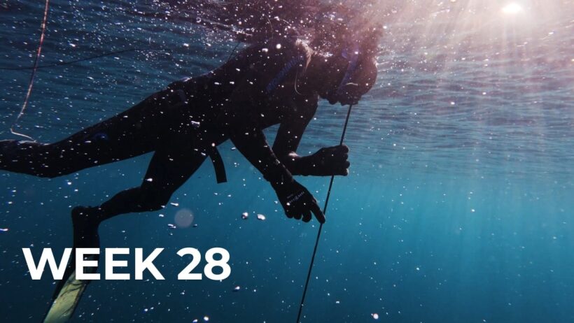 Diving Dark, Deep, & For Scallops!