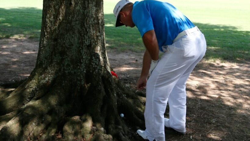 Why so many golf clubs are cutting down their trees