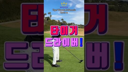 PGA 타이거 우즈의 드라이버 스윙입니다~!