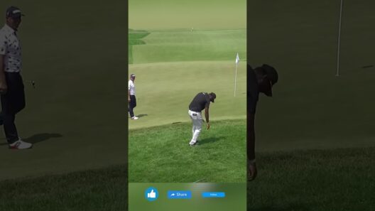 Sahith Theegala's Chip-In Comes With a Fall