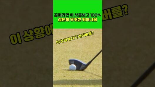 골퍼라면 이 샷을보고 100%감탄이 무조껀 튀어나옴