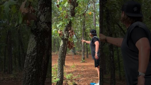 found a disc golf course 😬 #jakedezgolf #golf #discgolf #pinehurst #southernpines