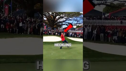 This Fan Heckled The Pros And Won $100