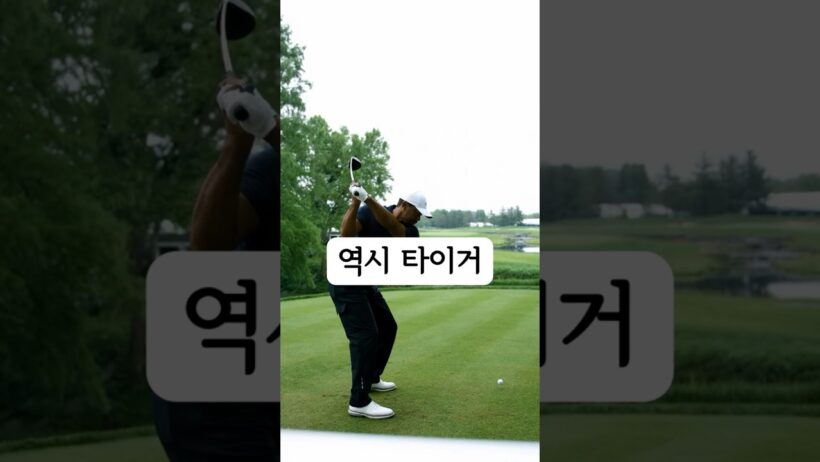 "100번 돌려보게 되는 타이거 우즈 임팩트" #드라이버샷 #드라이버스윙 #타이거우즈 #tigerwoods #golfswing