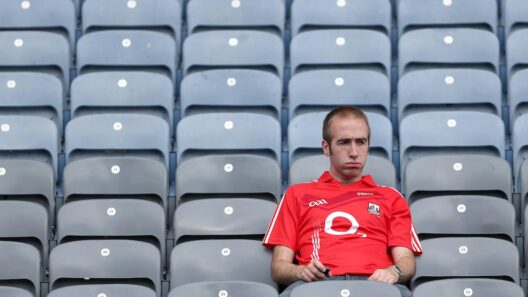 Mayo’s magnificent quest leaves us wanting more – but who from? – The Irish Times