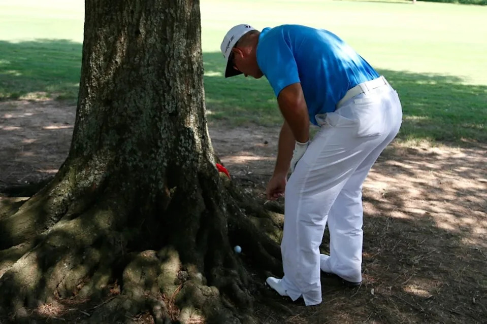 A player getting relief from the trees | Source: Getty Images