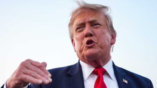 The 52 most stupid things Donald Trump has ever said