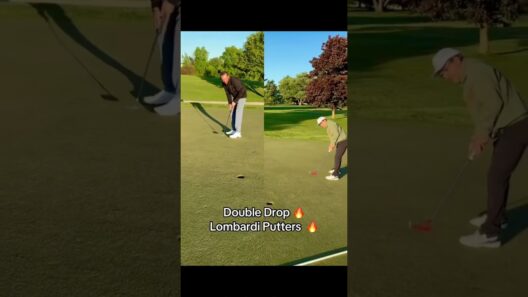 Double Drop -Copy-paste putting.Lombardi makes the hole feel magnetic.Atlas Valley Golf Club