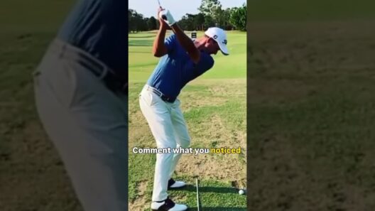 The Most Effortless Golf Swing Ever 🔥 #golf #golfswing #adamscott