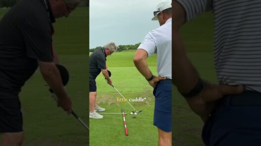 Most Golfers Miss These Setup Fundamentals  #golfswing #martinchuck #golfdrills #golftips