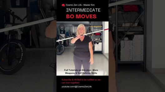 Bo Staff Balance and Spinning for Intermediate Skills w Master Kim - Tutorials available bo & karate