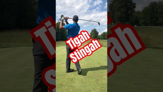 Tiger Woods simple stinger you can do! #tigerwoods