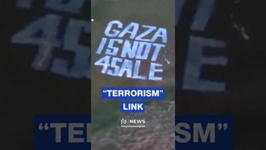 Seven Palestine Action activists charged over Trump golf course damage