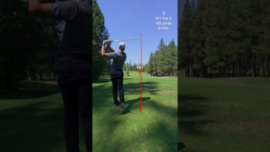 Beautiful 9 Holes of Golf  #golf #golfswing #golfer #golflife #golfing