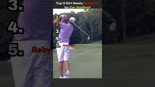 Wait for the last stinger… 🤯 #golf #golfshorts #stingers