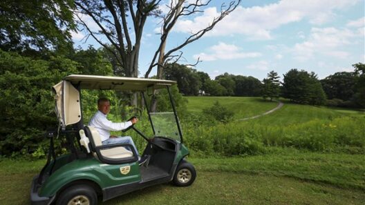 Heather Downs Country Club for sale following significant improvements