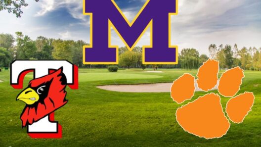 Mechanicsburg continues hot start, wins boys’ golf tri-match at Woodland