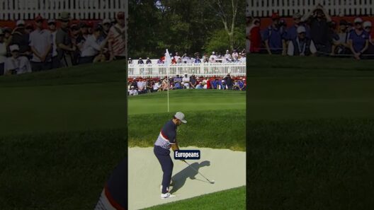 PERFECTION from the bunker! 🤩
