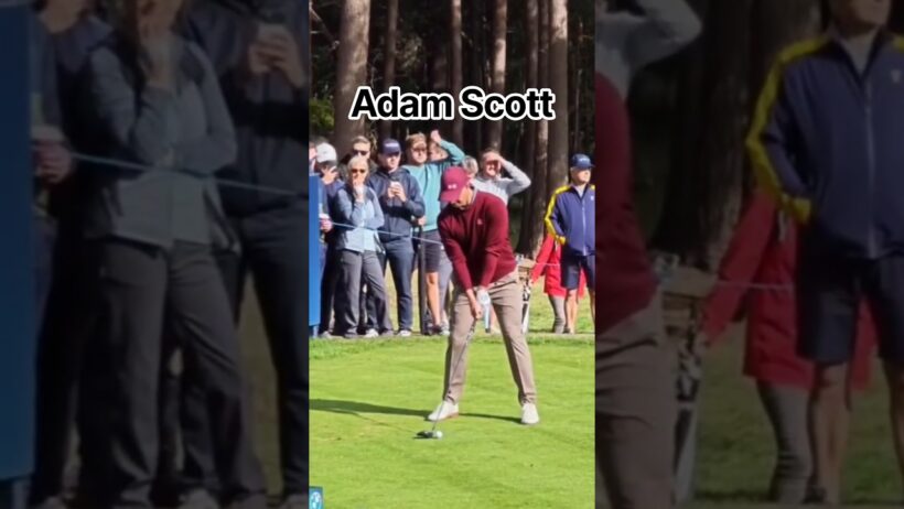 Adam Scott #golfswing #golf #golfgainz #golfer