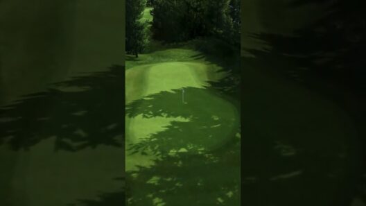 Crans-sur-Sierre Golf Club - GEMGolfers ⛳️