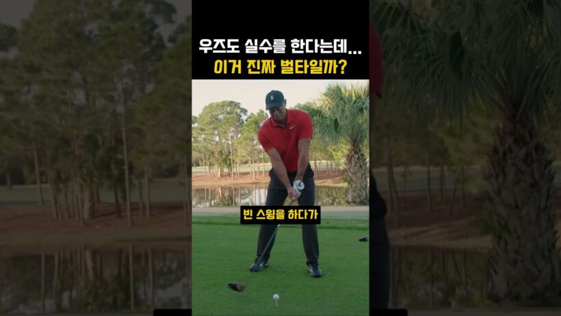 타이거우즈도 실수를 한다는데?이거 진짜 벌타일까?#골프 #골프쇼츠 #타이거우즈 #골프룰 #골프상식 #필드골프 #골프유머 #골프레슨 #shorts #golf #ゴルフ