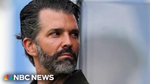 Trump defends son over wedding party controversy