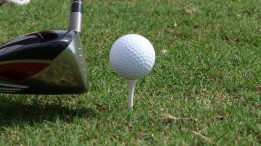 Red Hook Golf Club’s Sanger loses in NENY PGA match-play semis – Daily Freeman