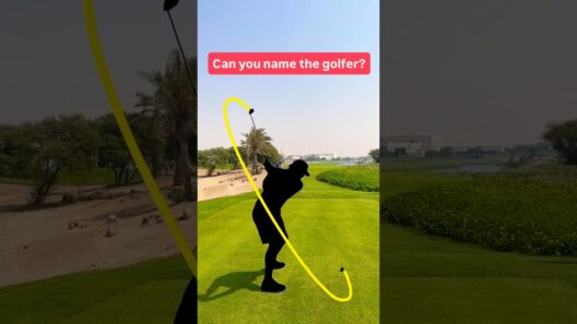 Can You Guess the Golfer From This Swing? 👀