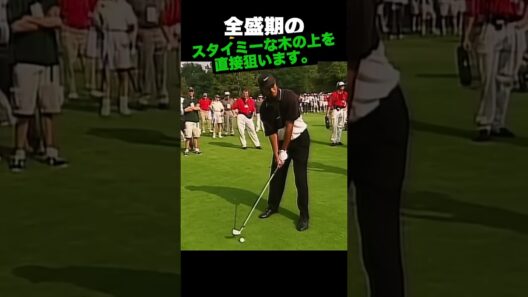 全盛期のタイガー
