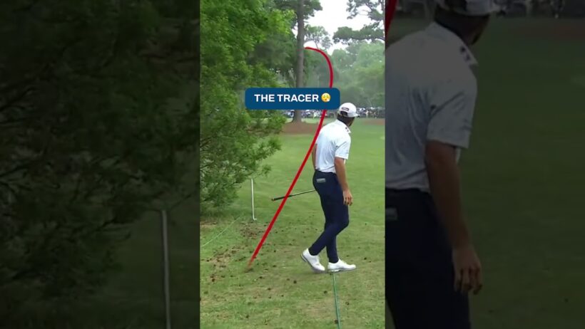 Cameron Young with an unreal recovery shot at 2023 RBC Heritage 😳